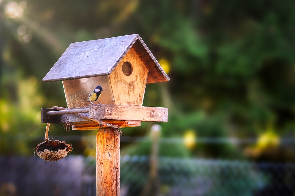 De geschiedenis van het vogelhuisje