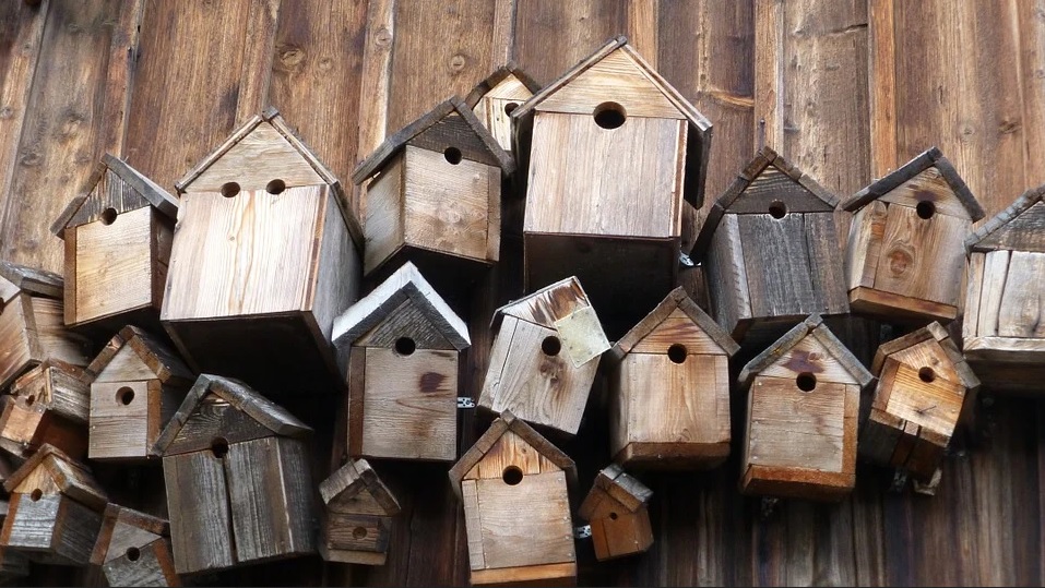 Wanneer je vogelhuisje schoonmaken