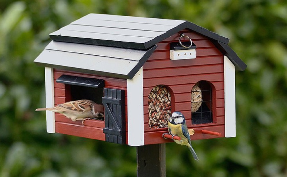 Gevoel van schuld Grommen heilige Voederhuisje kopen - Vogelhuisjes-kopen