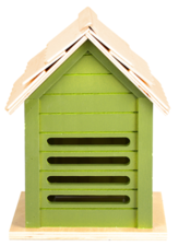 Lieveheersbeestjes huis lichtgroen