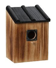 Vogelhuisje Paul bruin