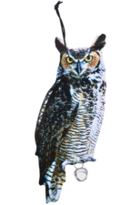 Vogelverschrikker uil