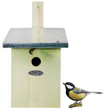 Nestkast koolmees, mus