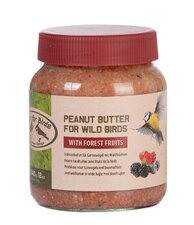 Vogel pindakaas met bosvruchten